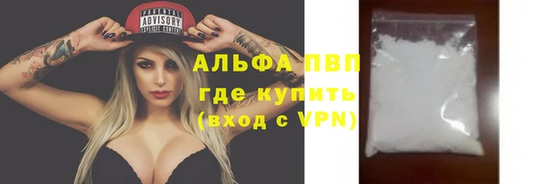 мет Алексин