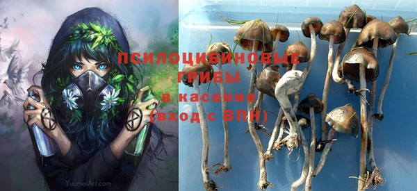 мет Алексин
