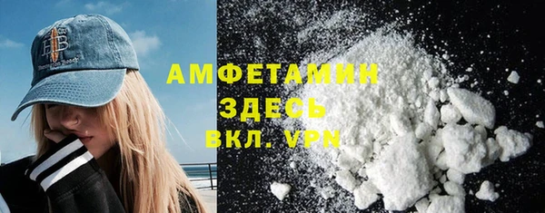 мет Алексин